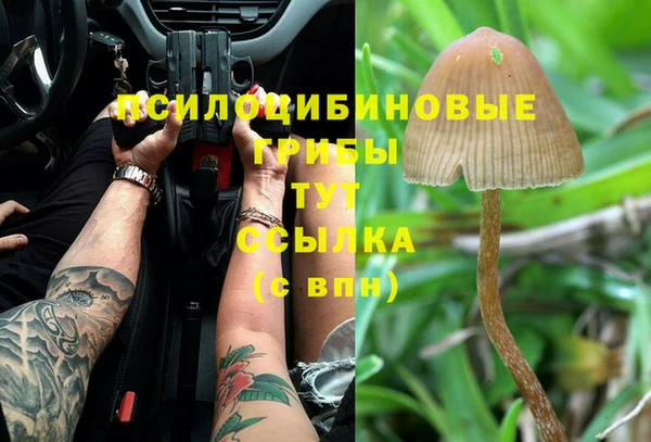 круглые Пересвет